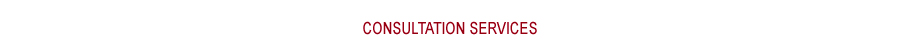 Consultation Services